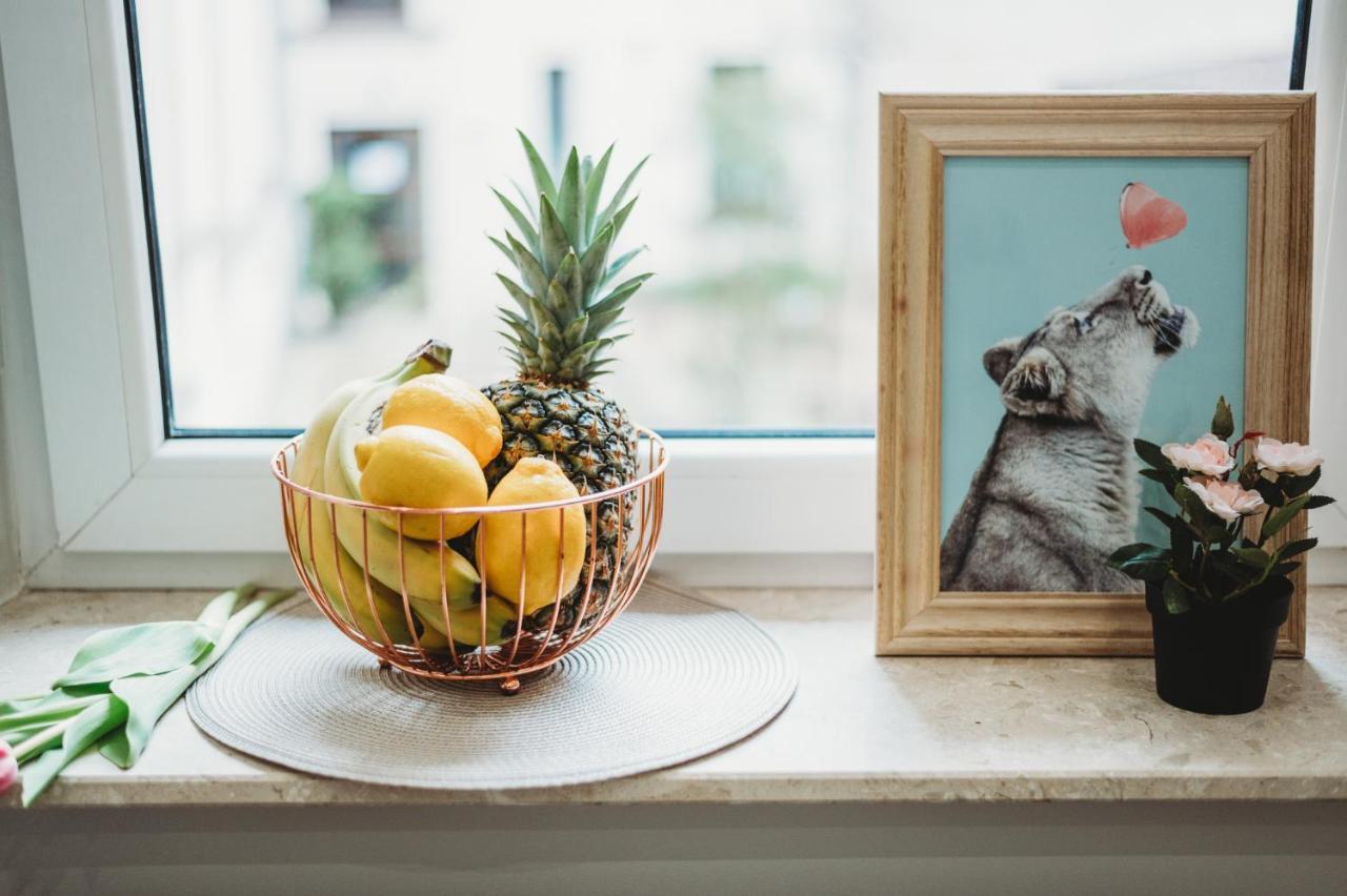 Fatcat Apartments 크라쿠프 외부 사진